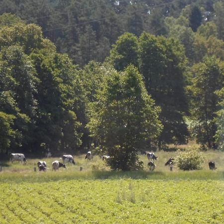 Ferienhof Meyer Nahrendorf Dış mekan fotoğraf